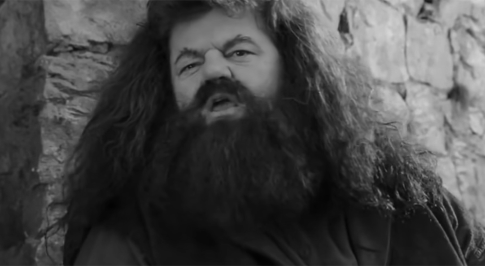 hagrid ps.jpg